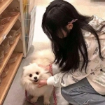 奶块小米服最新版下载