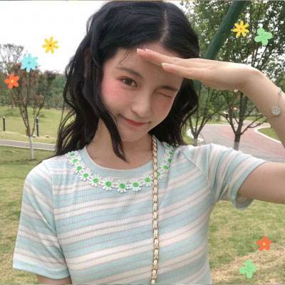 口袋妖怪新世代官方下载